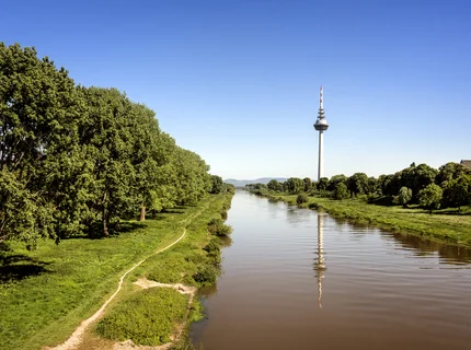 Neckar in Mannheim mit Fernsehrturm