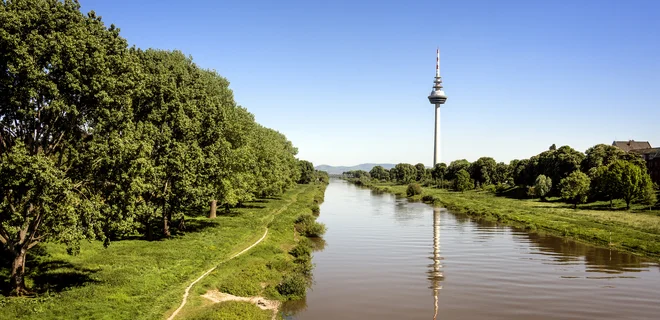 Neckar in Mannheim mit Fernsehrturm