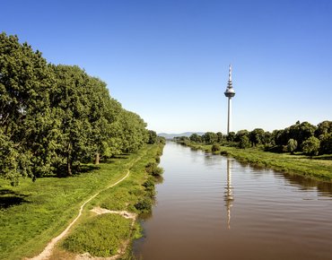 Bild Neckarfluss Fernsehturm in Mannheim 